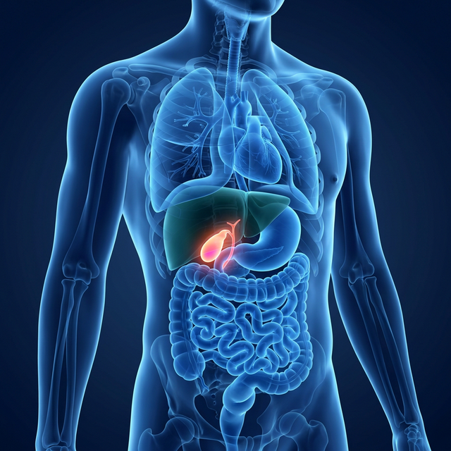 Understanding Gallbladder Anatomy